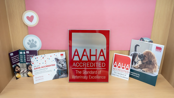 股票配资炒股看配资 江苏宠物医疗里程碑！新瑞鹏集团南京五家动物医院高分获AAHA认证，树立行业标杆