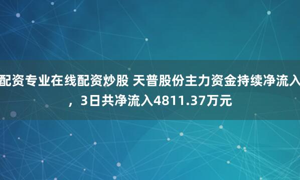 配资专业在线配资炒股 天普股份主力资金持续净流入,3日共净流入4811.37万元
