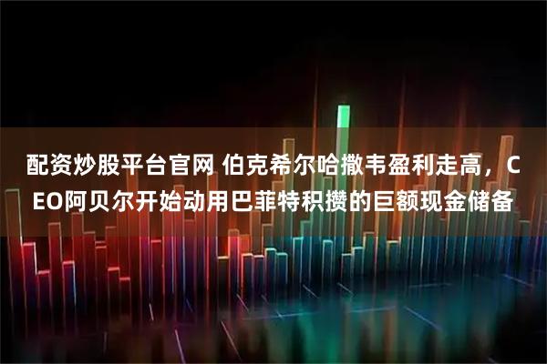 配资炒股平台官网 伯克希尔哈撒韦盈利走高，CEO阿贝尔开始动用巴菲特积攒的巨额现金储备