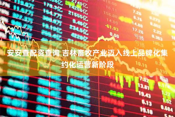 安安查配资查询 吉林畜牧产业迈入线上品牌化集约化运营新阶段
