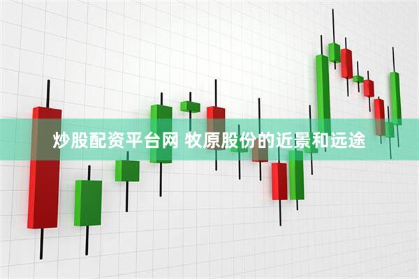 炒股配资平台网 牧原股份的近景和远途