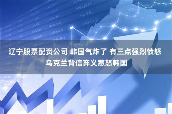 辽宁股票配资公司 韩国气炸了 有三点强烈愤怒 乌克兰背信弃义惹怒韩国
